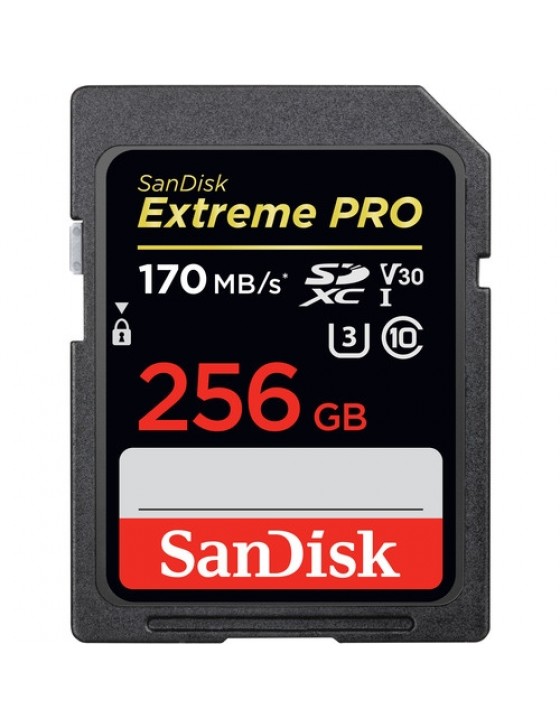 SanDisk Extreme 256GB SD Card